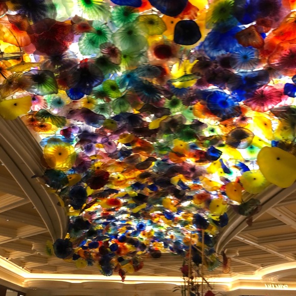 Meet your Posher, Myra - Picture 4 of 4